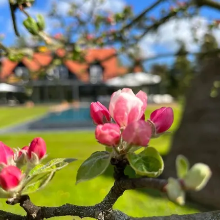 Naturapartments - Hideaway & * Burg (Spreewald)