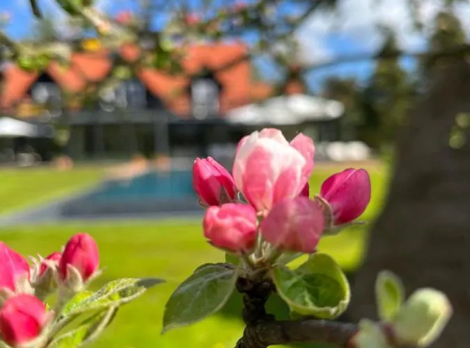 Naturapartments - Hideaway & * Burg (Spreewald)